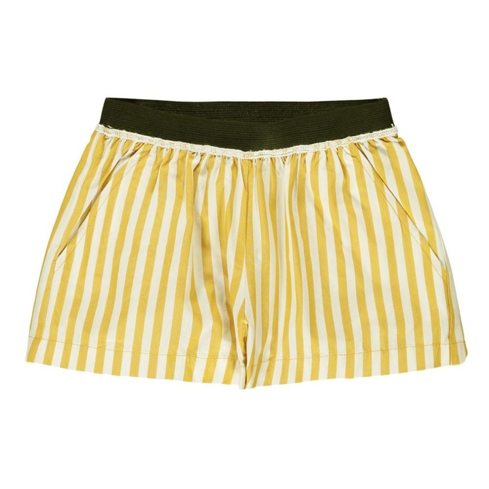 striped camel