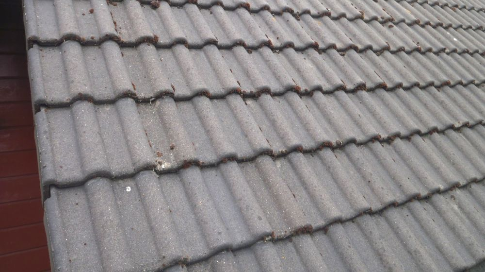 betonpannen
