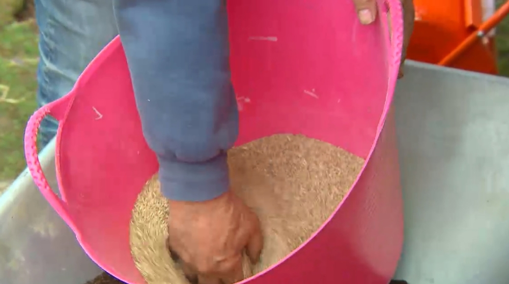 graszaad mengen