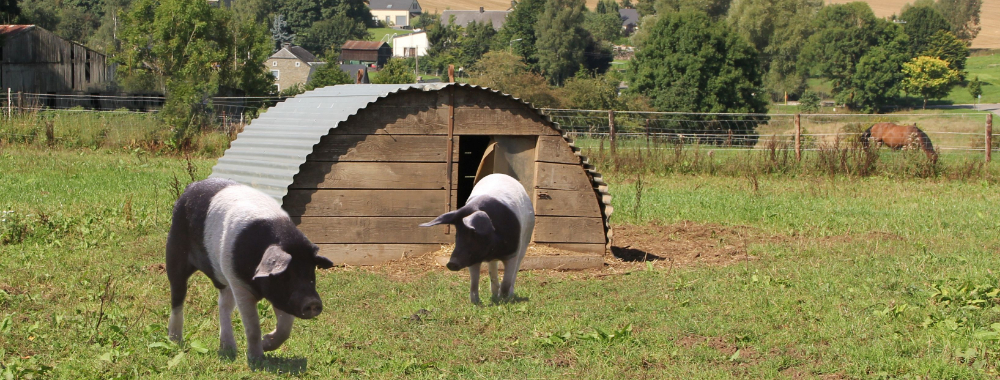 Biofarm