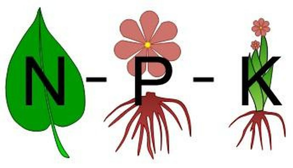 N-P-K
