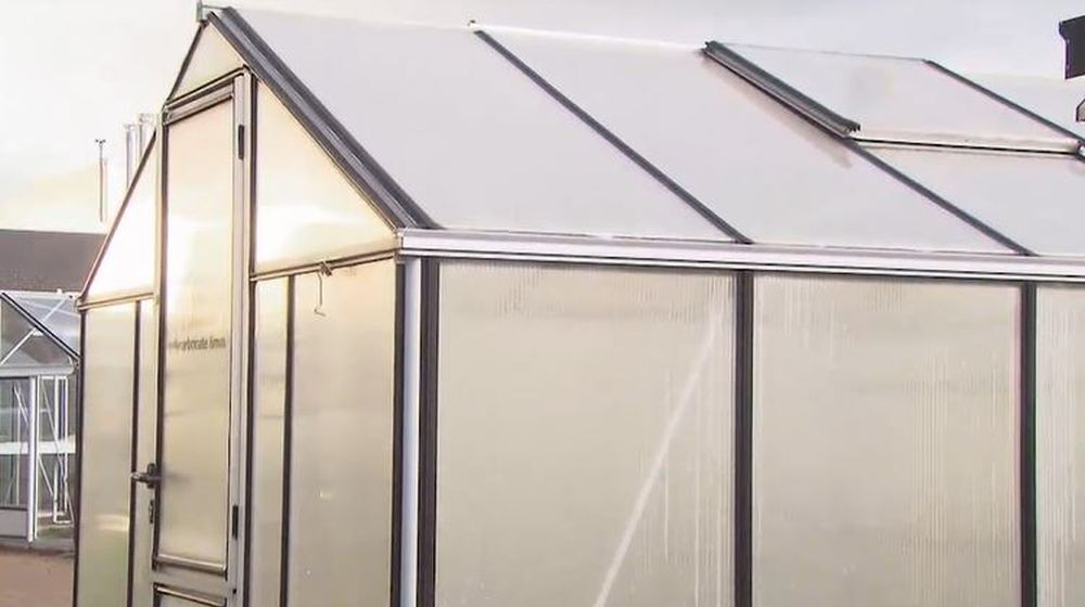 veiligheidsglas