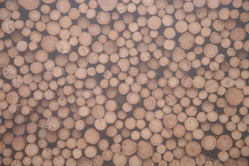 hout