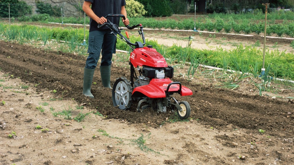 Tuinfrees Honda foto 1