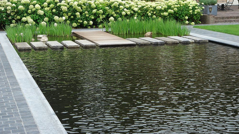 zwemvijver biologisch zwembad