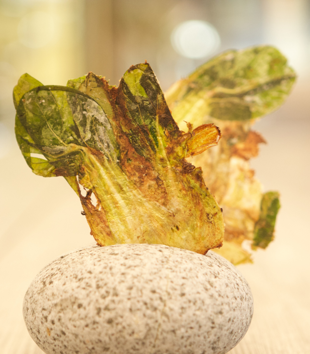 Innovation Award Gault&Millau 2019 squeezer topchef adri&agrave; ex-El Bulli Spanje 