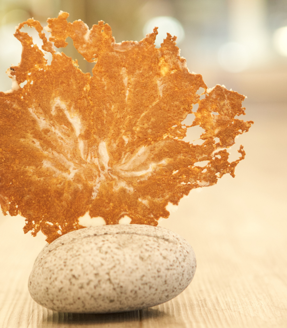 Innovation Award Gault&Millau 2019 squeezer topchef adri&agrave; ex-El Bulli Spanje 