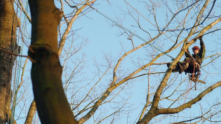 Robin in actie GardenPro