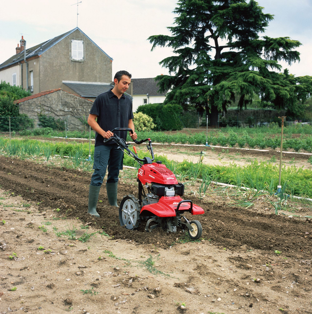 Tuinfrees Honda foto 1