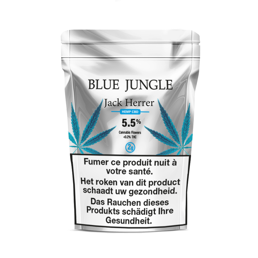 IFM Wholesale