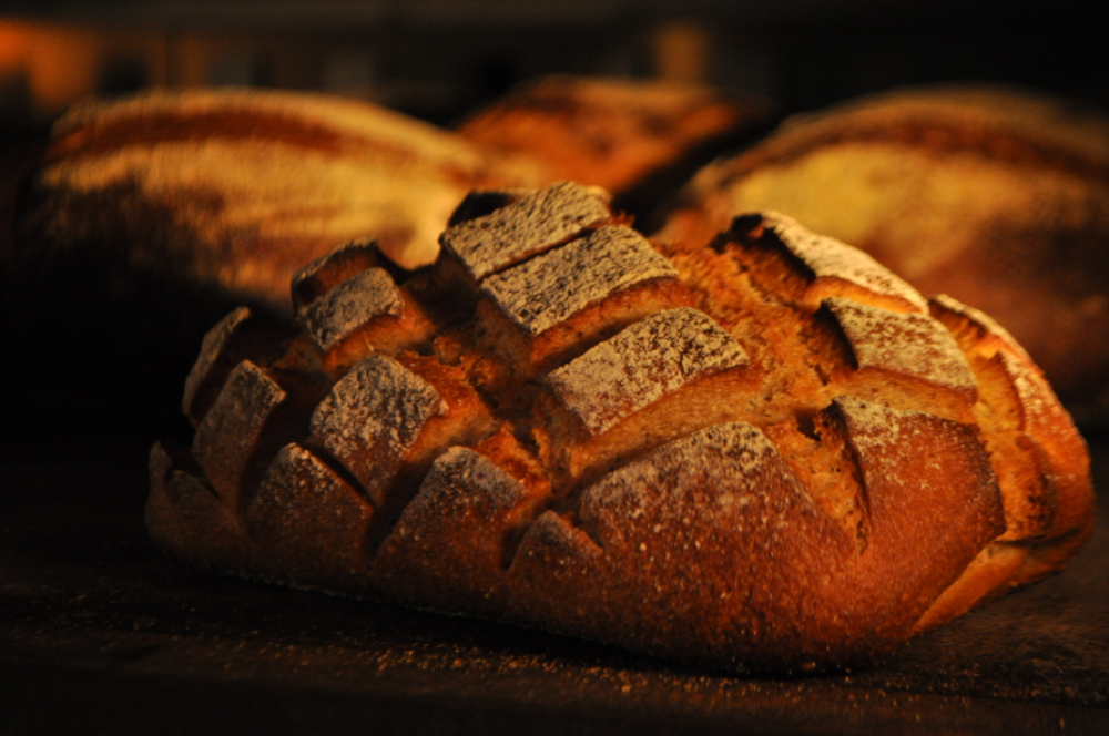 brood