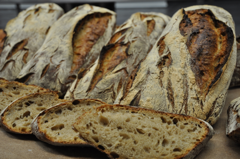 brood