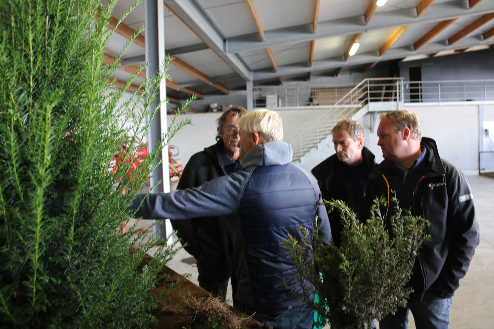 taxus PCS