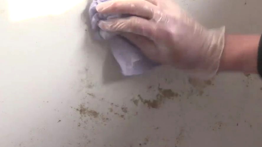 binnenmuur préparer travaux peinture