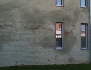 oorzaak bouwproblemen