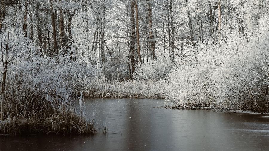 bevroren vijver ÉTANG DE NATATION