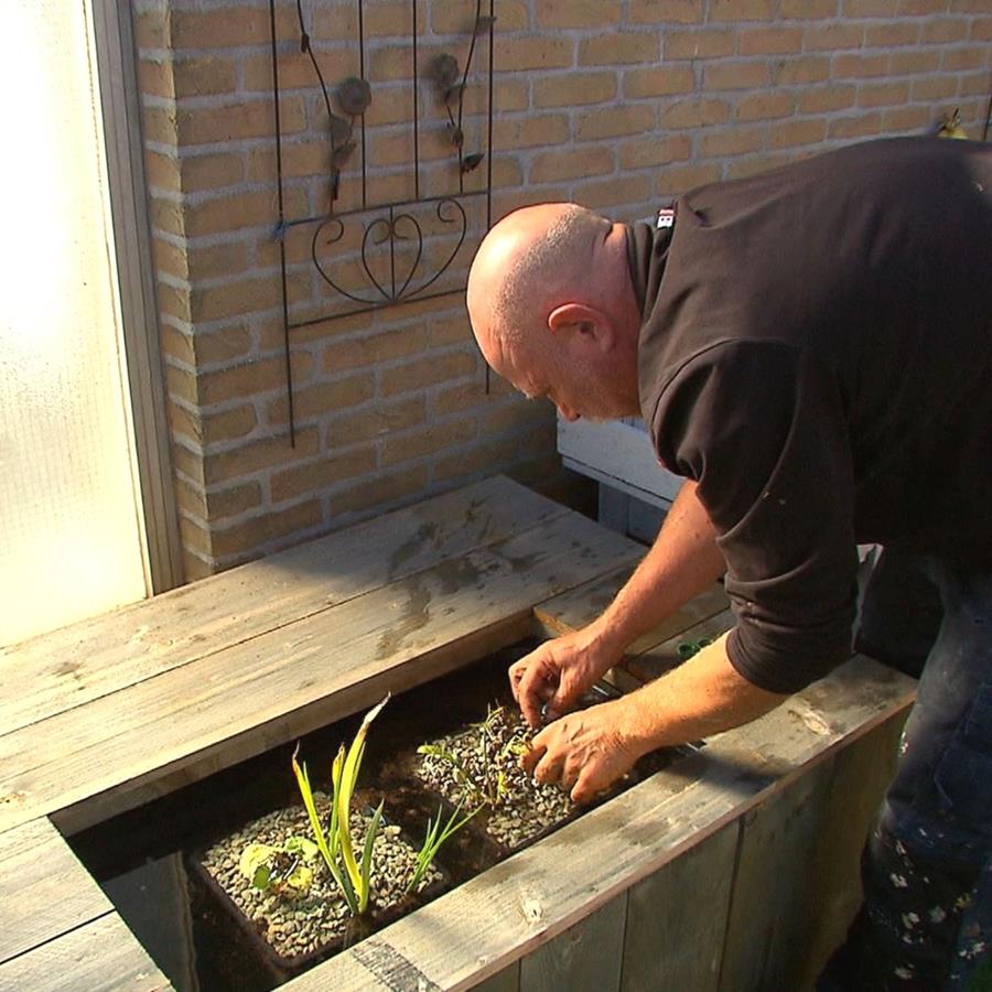 laatste hand aan de vijver