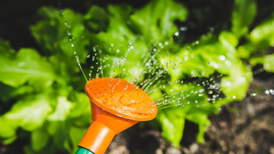 gieter tuinbewatering